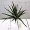 Set of 3 12" tall Assorted Aloe Faux Succulent Picks Sprays Stems Wedding Party